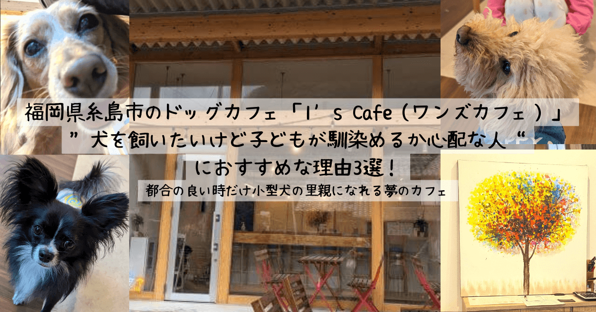 福岡県糸島市の保護犬ドッグカフェ「1’s Cafe（ワンズカフェ）」が“犬を飼いたいけど子どもが馴染めるか心配な人”におすすめな理由3選！｜会いたい時だけ小型犬の里親になれる夢のカフェ、ブログのアイキャッチ画像